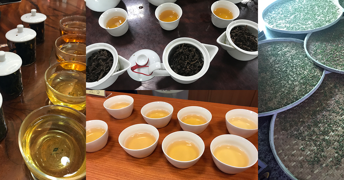 ワークショップ「新茶を飲む・台湾茶2018春～初夏」（東京・8月19日AM）