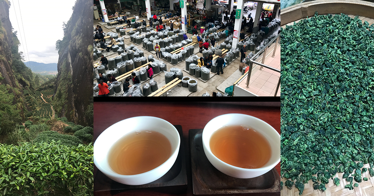 ワークショップ「新茶を飲む・大陸烏龍茶2018」（札幌・2月17日AM）