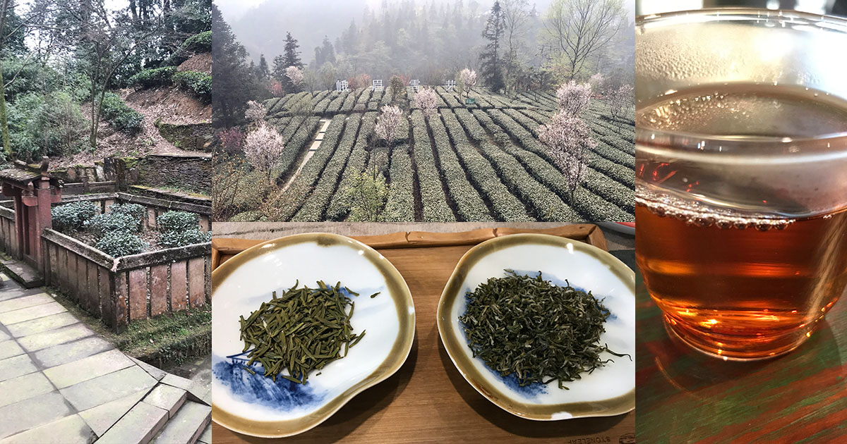 ワークショップ「新茶を飲む・四川省2019」（東京・5月7日PM）