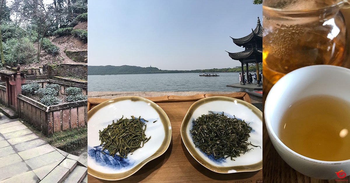 ワークショップ「新茶を飲む・四川省と江南2019」（札幌・5月25日PM）