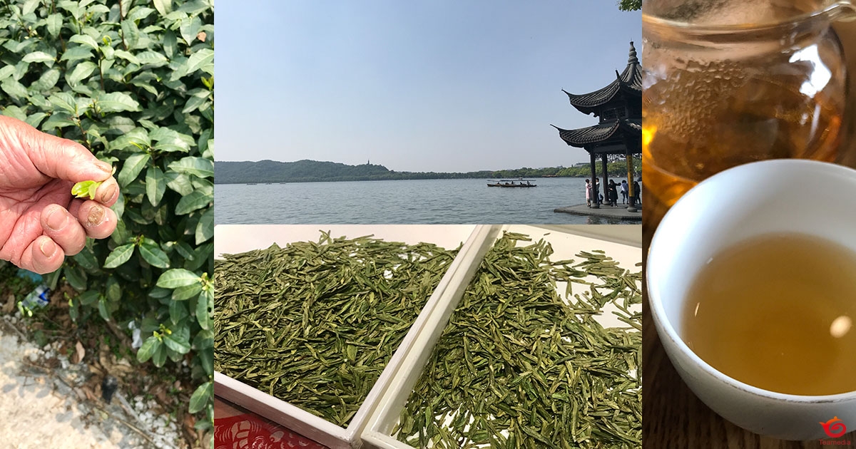 ワークショップ「新茶を飲む・江南2019」（東京・5月21日PM）