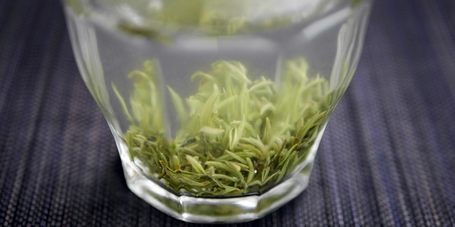 中国茶研究講座・緑茶編 第１回「製法の違いを飲む」（東京・9月3日AM）