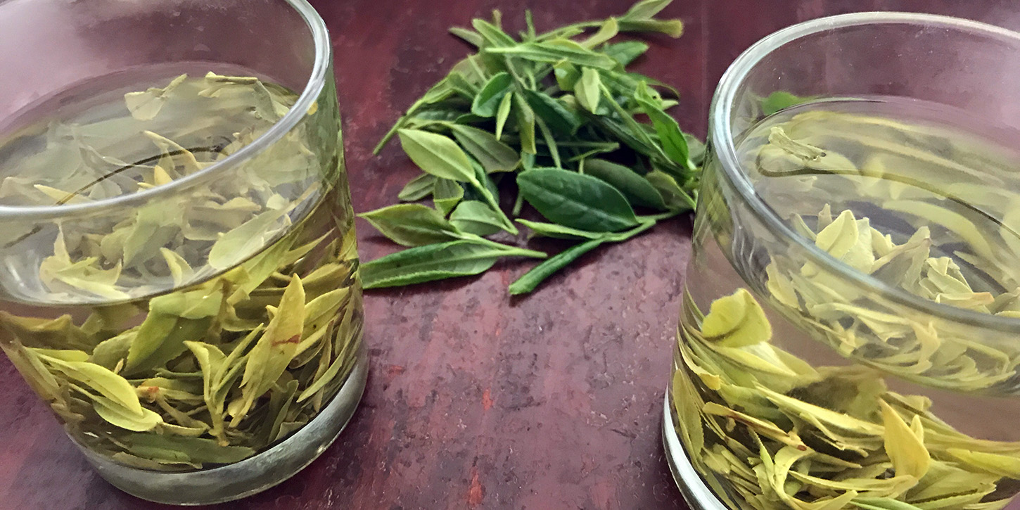 中国茶研究講座・緑茶編 第２回「同銘柄の違いを飲む」（東京・9月3日PM）